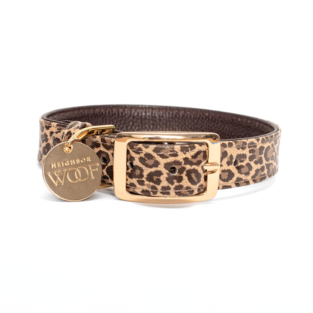 Leopard Print Dog Collar