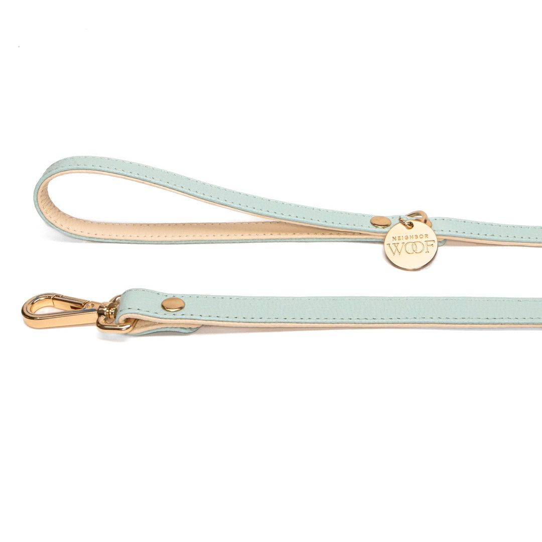 Miami Leather Leash