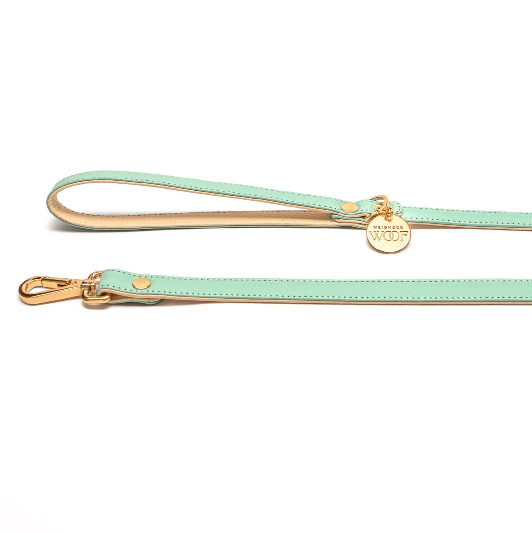 Mint Leather Leash
