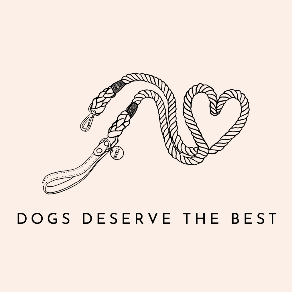 NeighborWoof Slogan | Dogs Deserve the Best