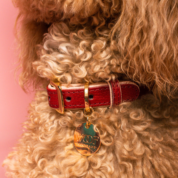 Strawberries and Wine Dog Collar