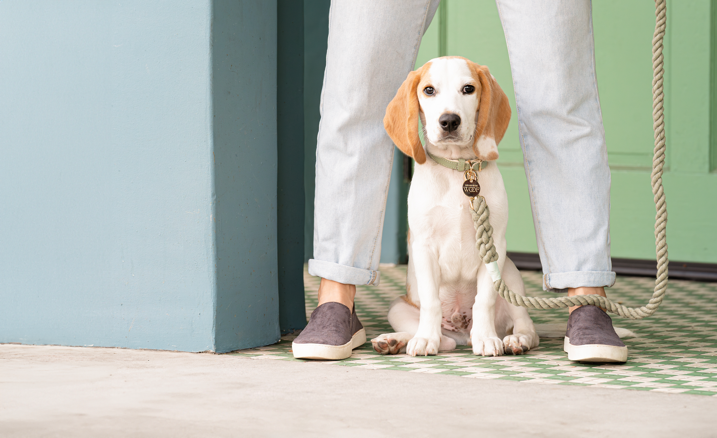 Classic Rope Dog Leash | Shop NeighborWoof | Dog Collars and Leashes
