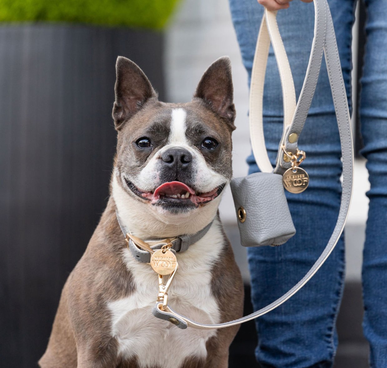 Leather Dog Leashes and Classic Rope Leashes for Dogs | Shop