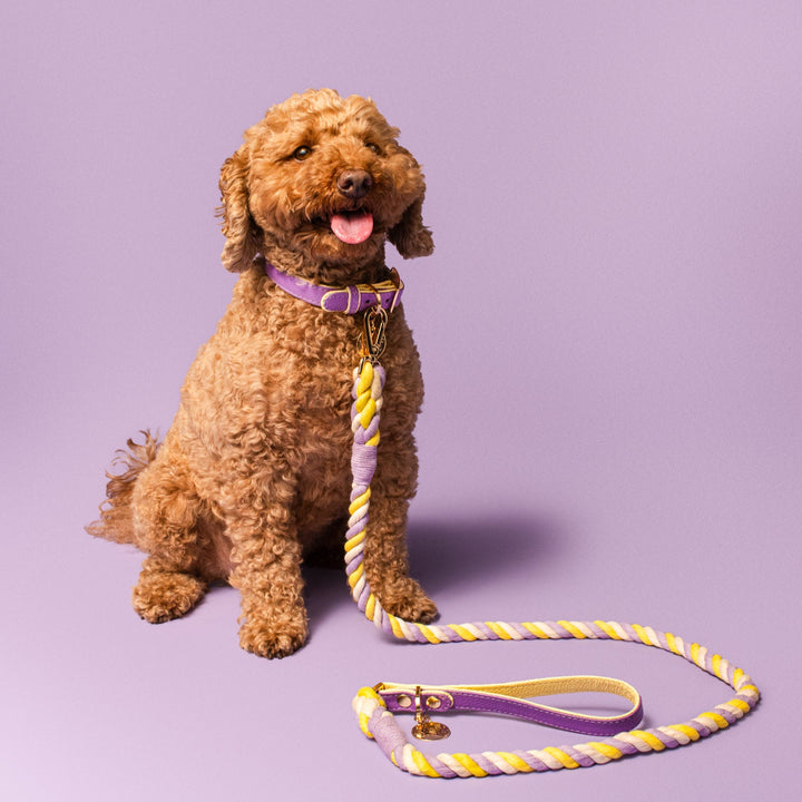 Lavender & Lemon Rope Leash