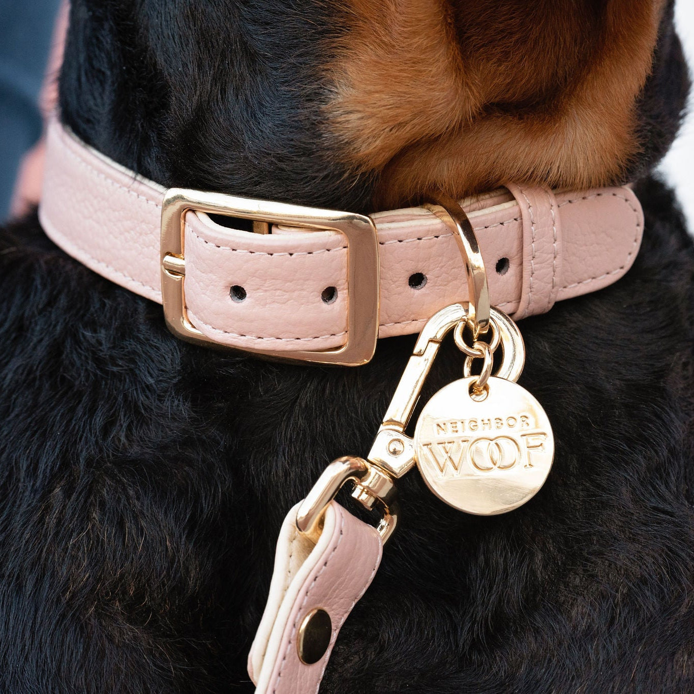 Blush Dog Collar – Neighborwoof