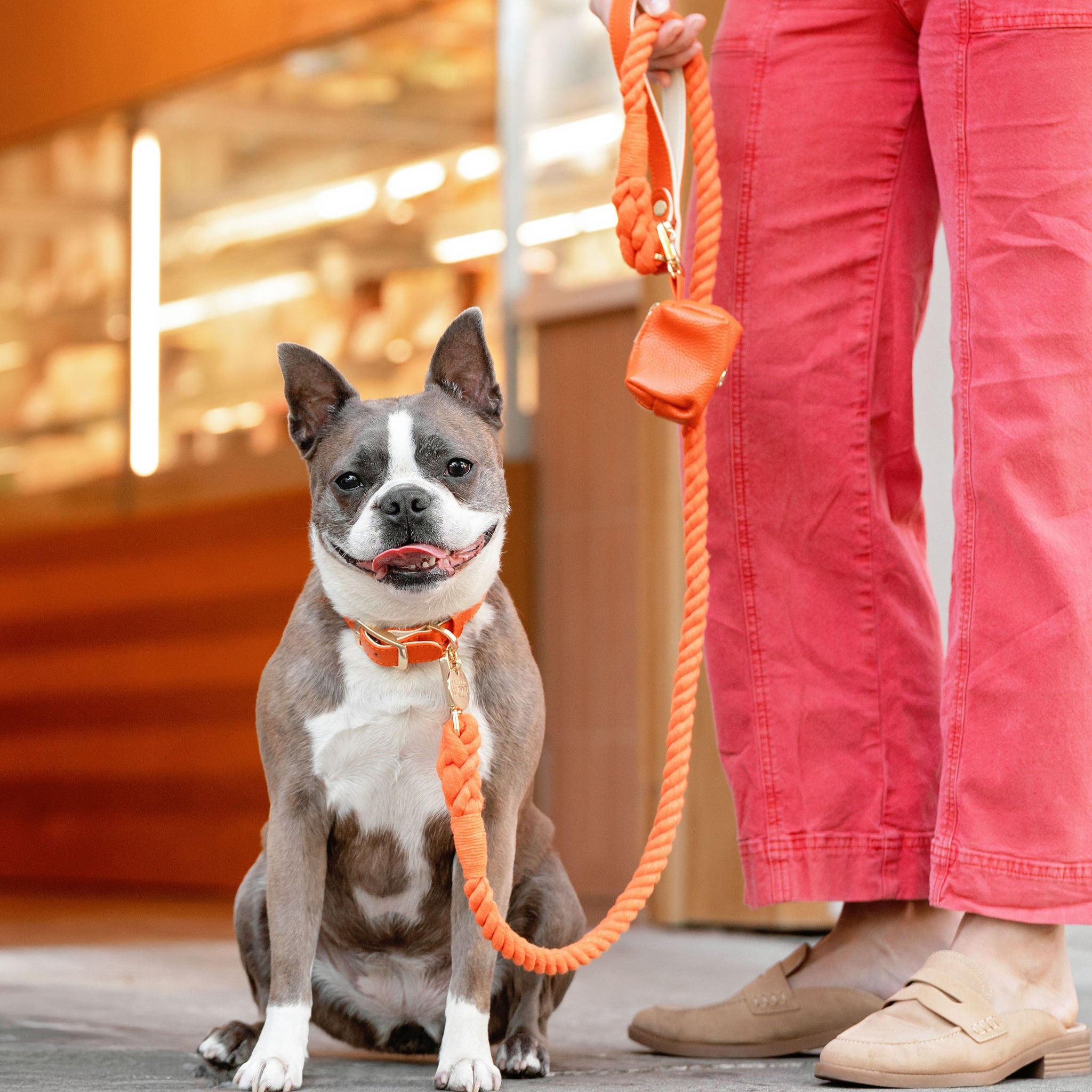 Leather Dog Leashes and Classic Rope Leashes for Dogs | Shop