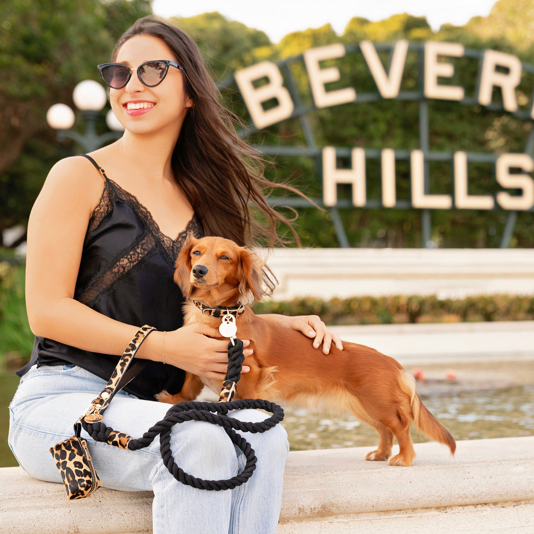 Leopard Fur Dog Collar