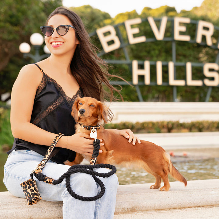 Leopard Fur Dog Collar