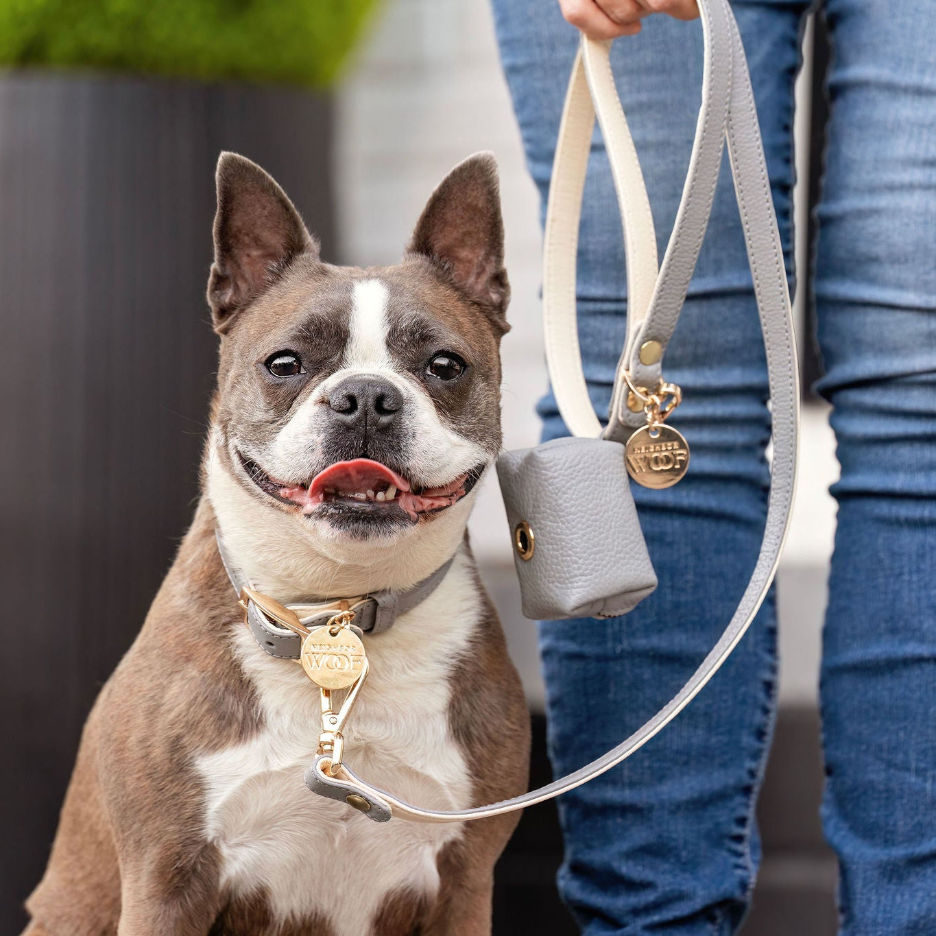 Leather Dog Leashes and Classic Rope Leashes for Dogs | Shop